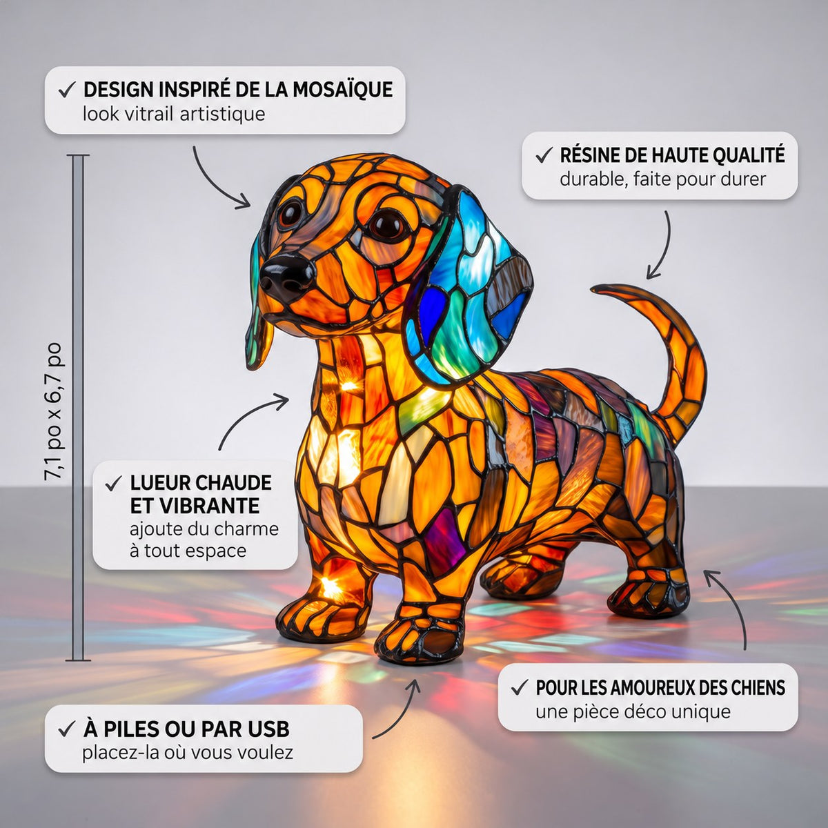 Radianza Teckel – image 3