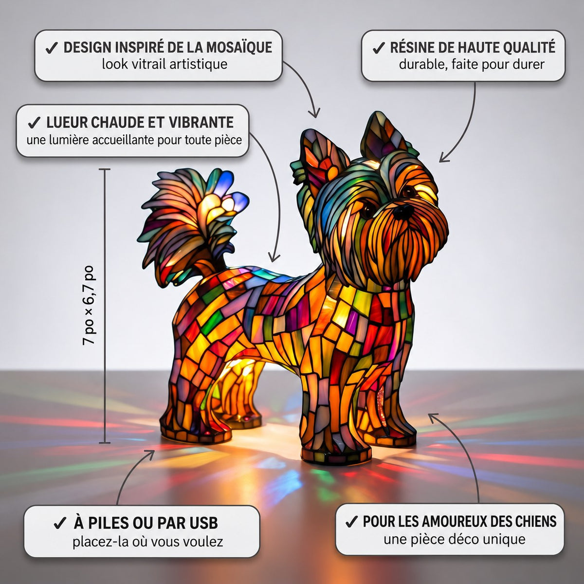 Yorkshire Terrier Rayonnant – image 3