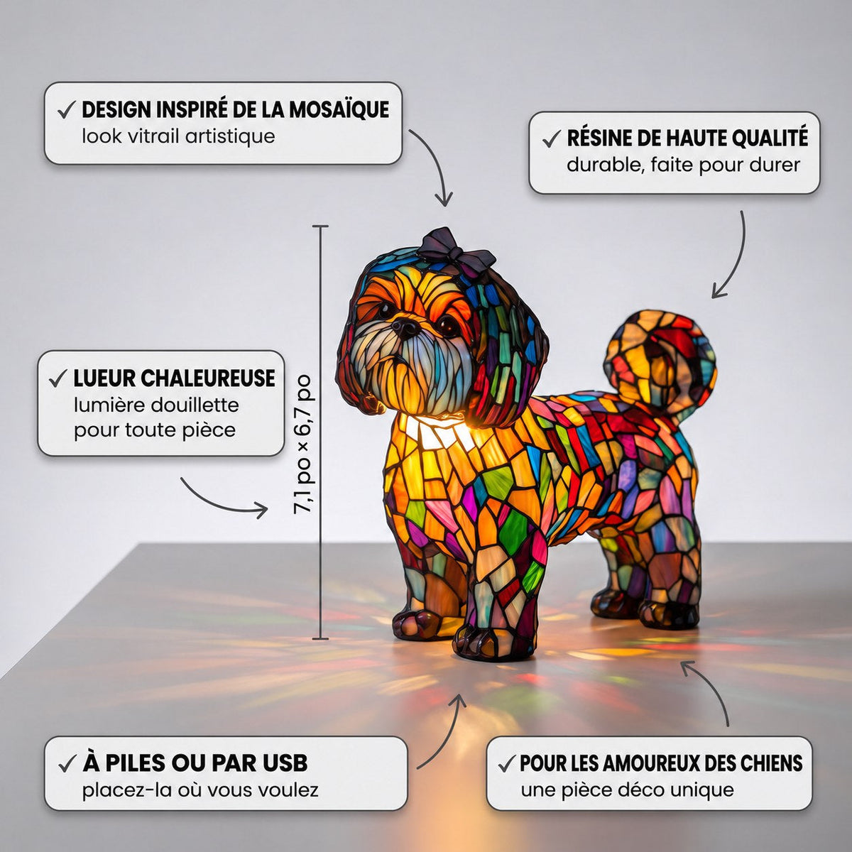 Magie enchanteresse de la princesse – image 3