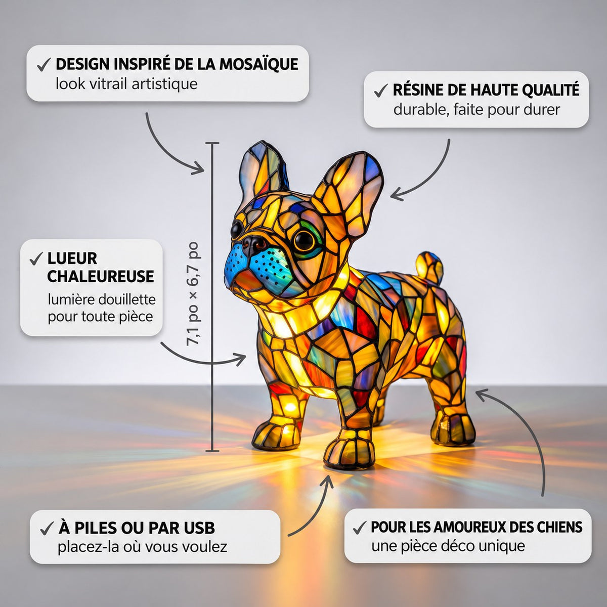 Bouledogue français rayonnant – image 3
