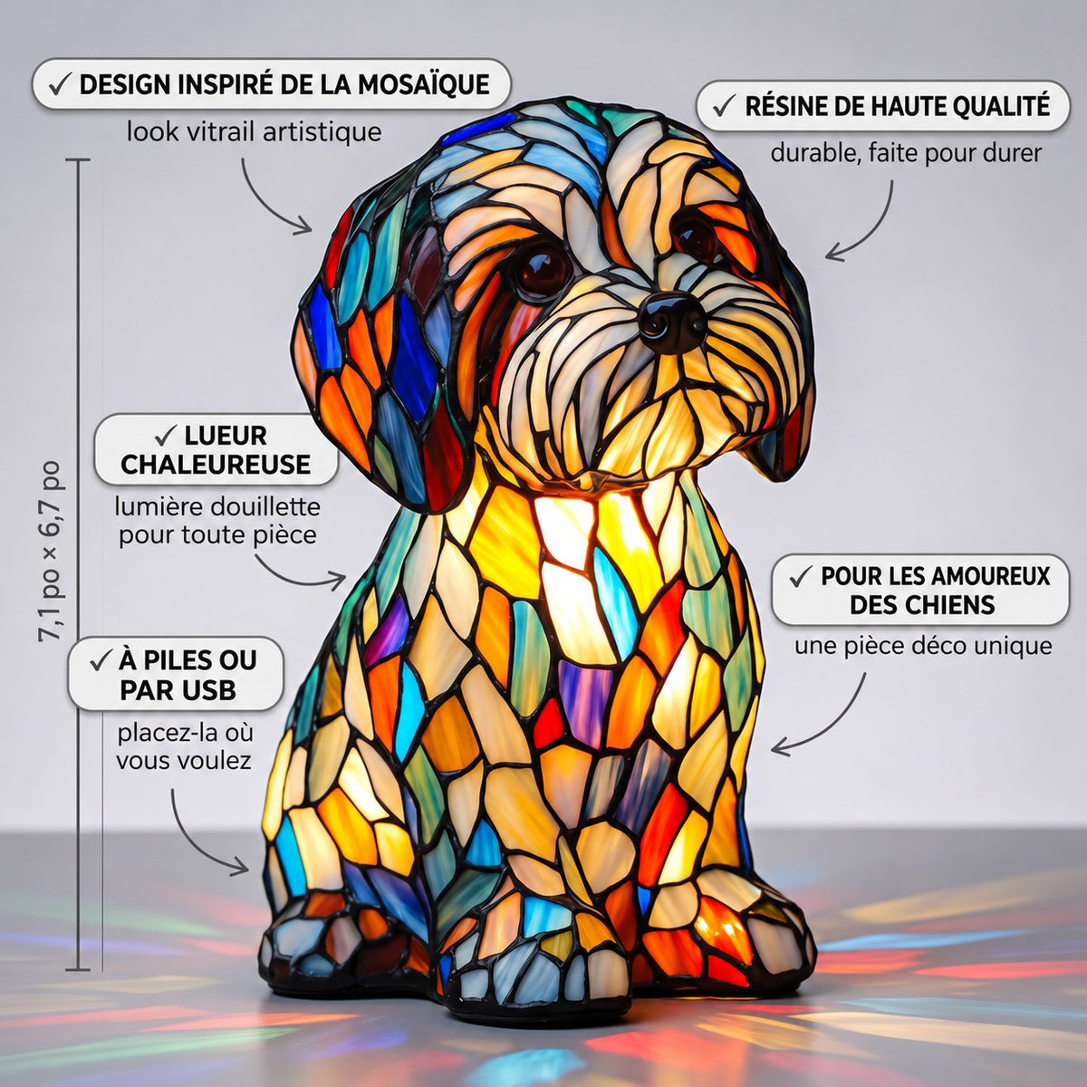 Délice de la compagnie – image 4