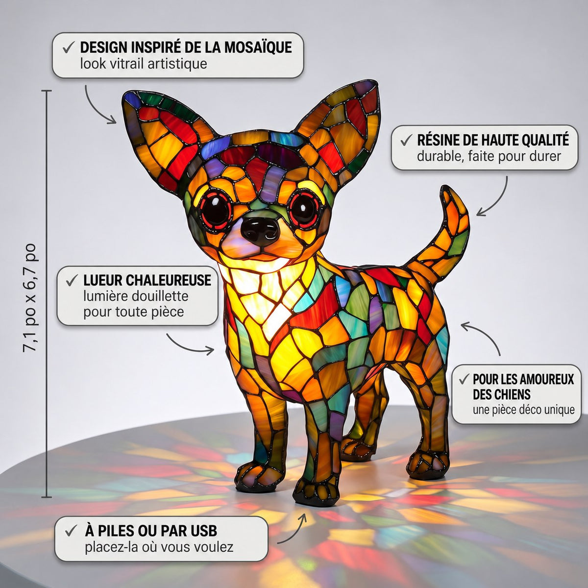 La vie avec un chihuahua – image 3