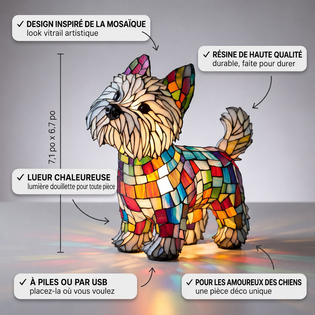 Moomie, votre compagnon par excellence – image 3