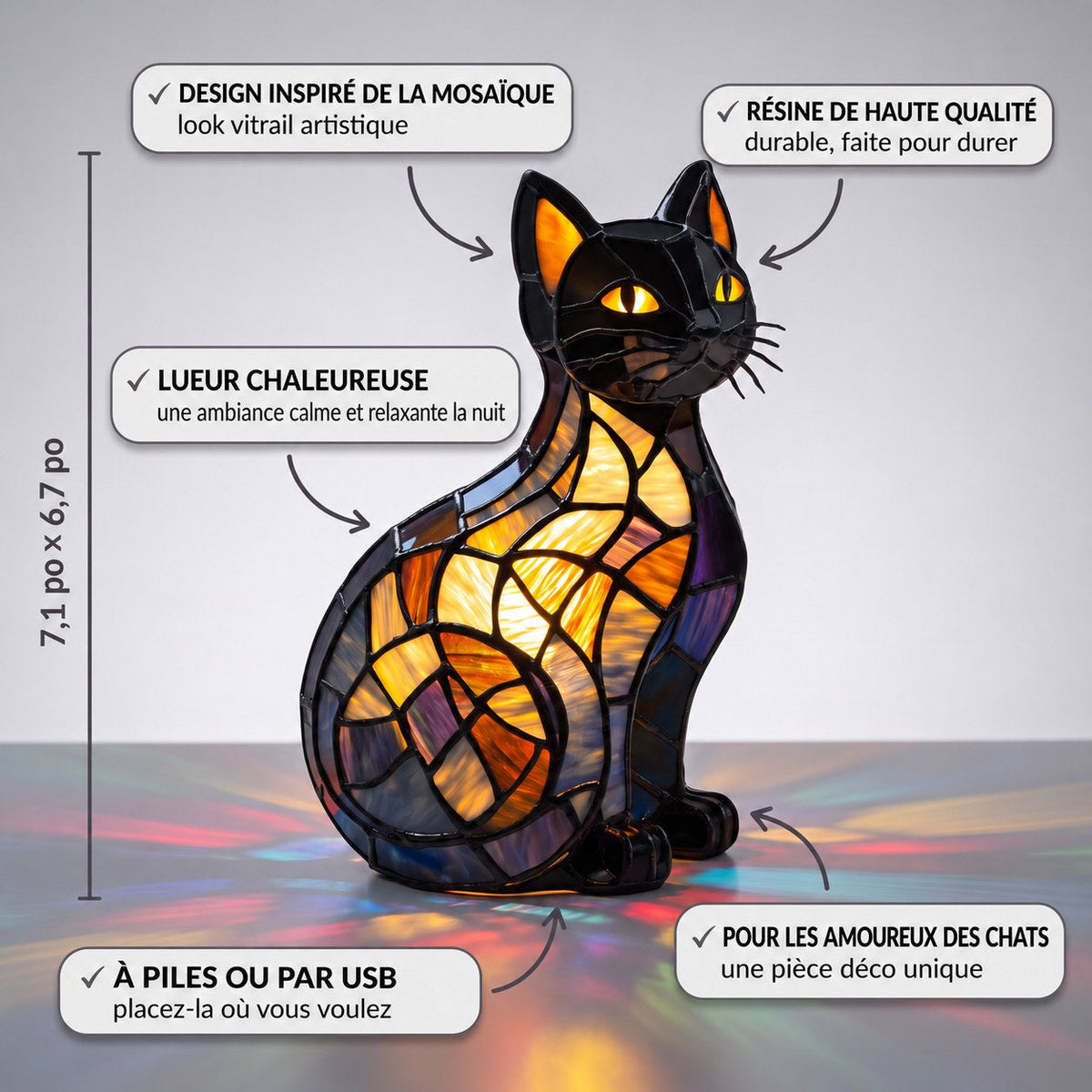 Chat rayonnant à minuit – image 3