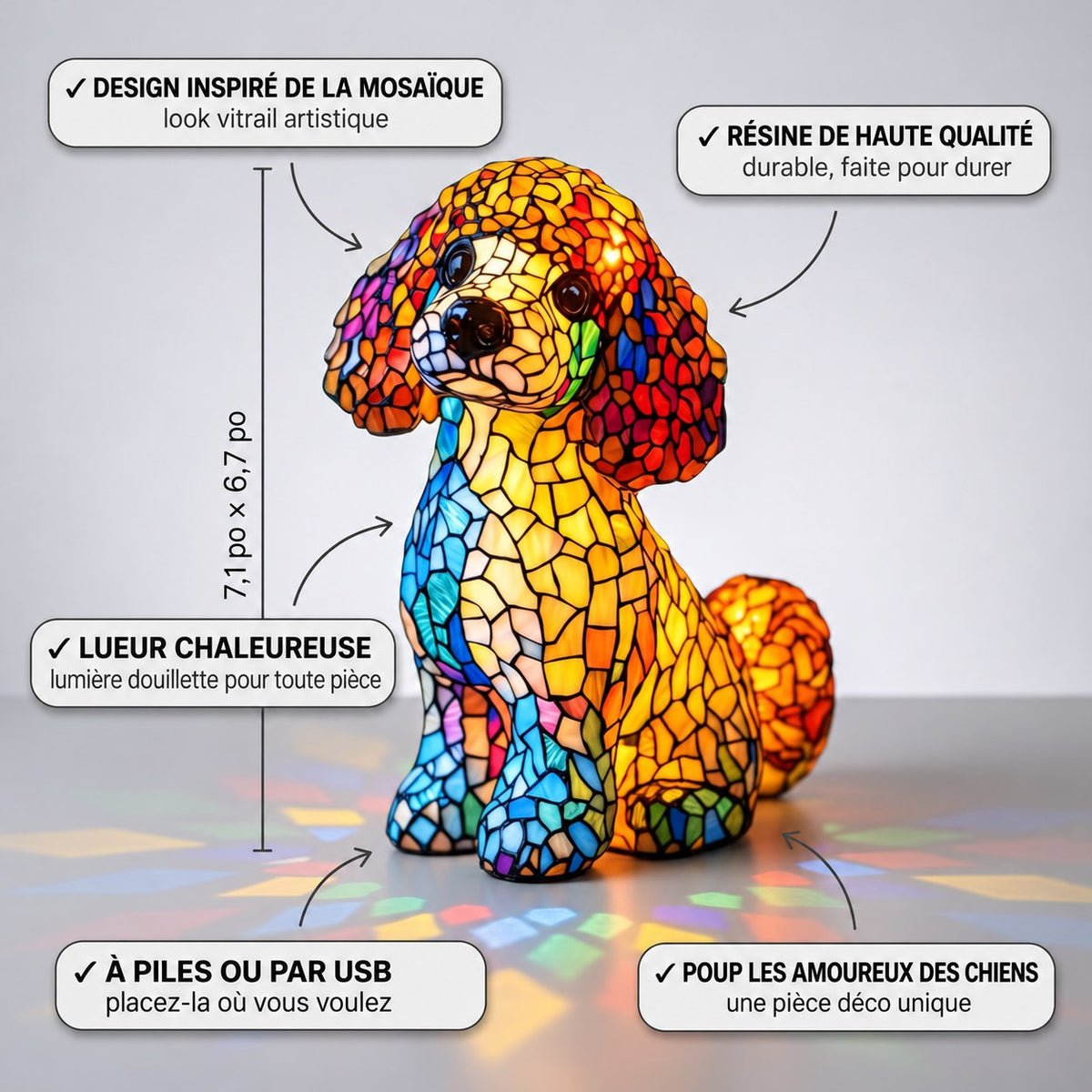 Le charme gracieux du caniche – image 3