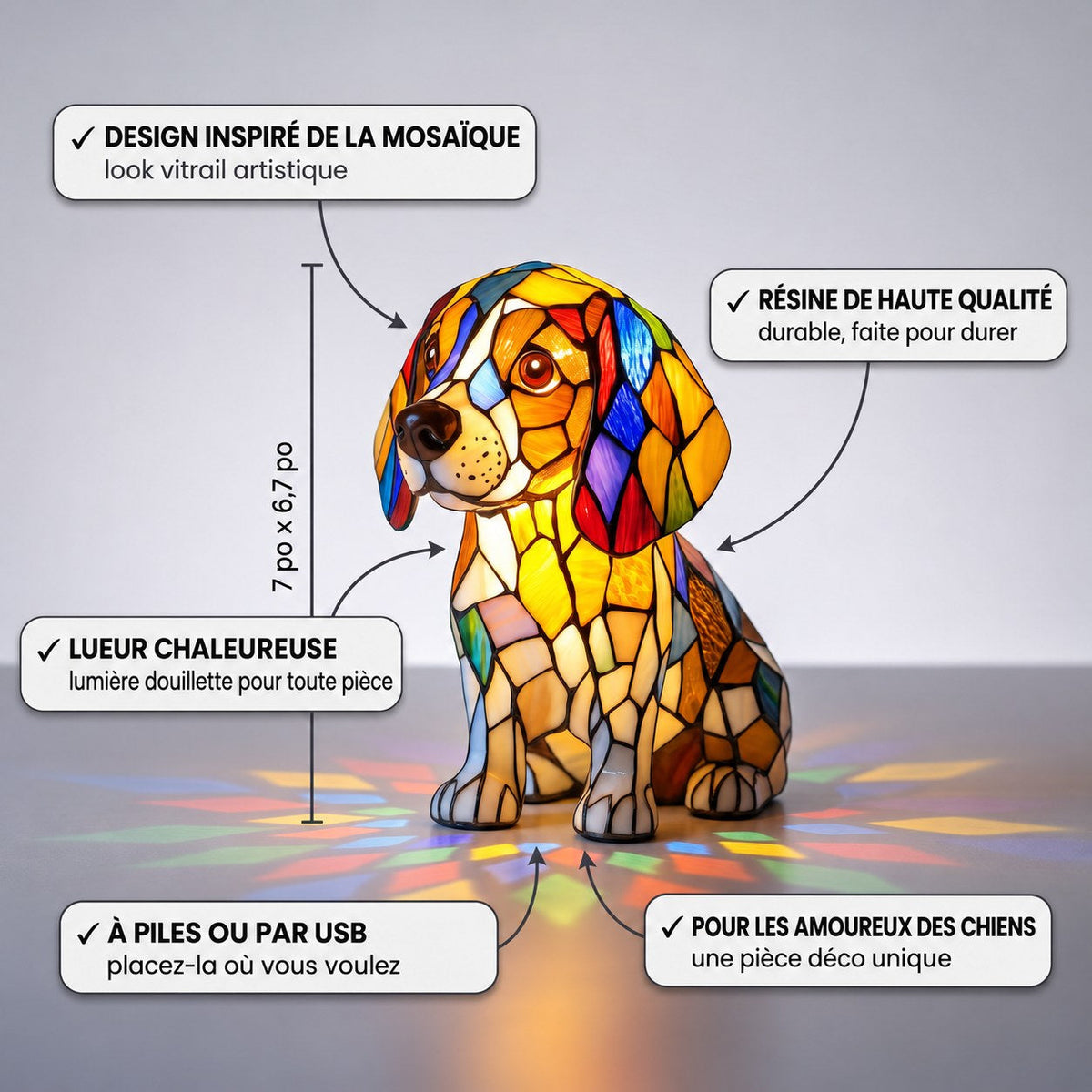 Beagle Essence – image 3