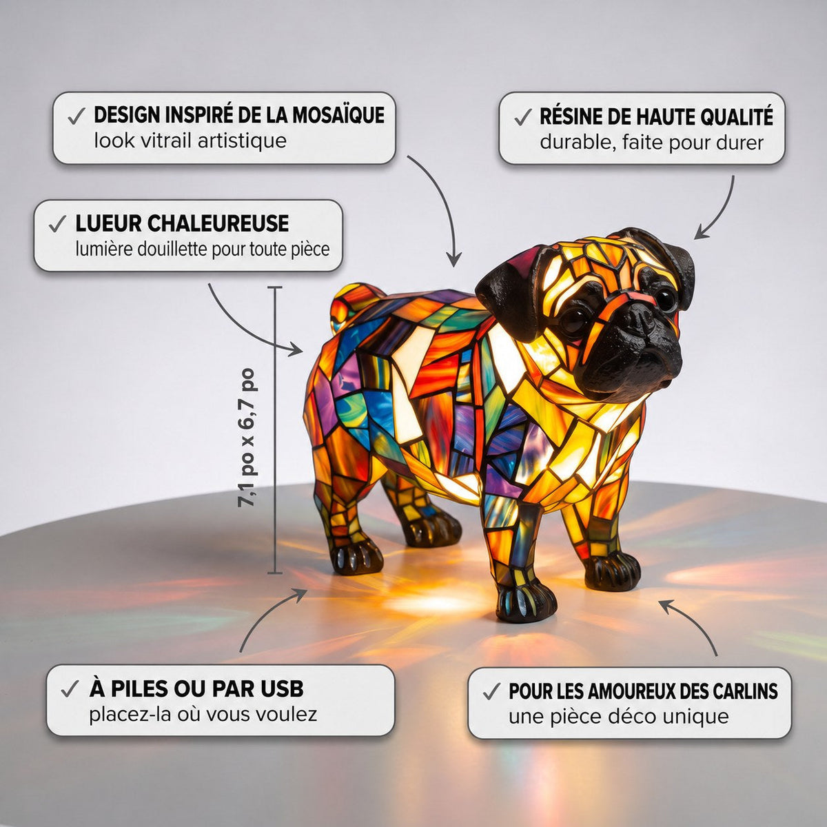 Carlin lumineux – image 3