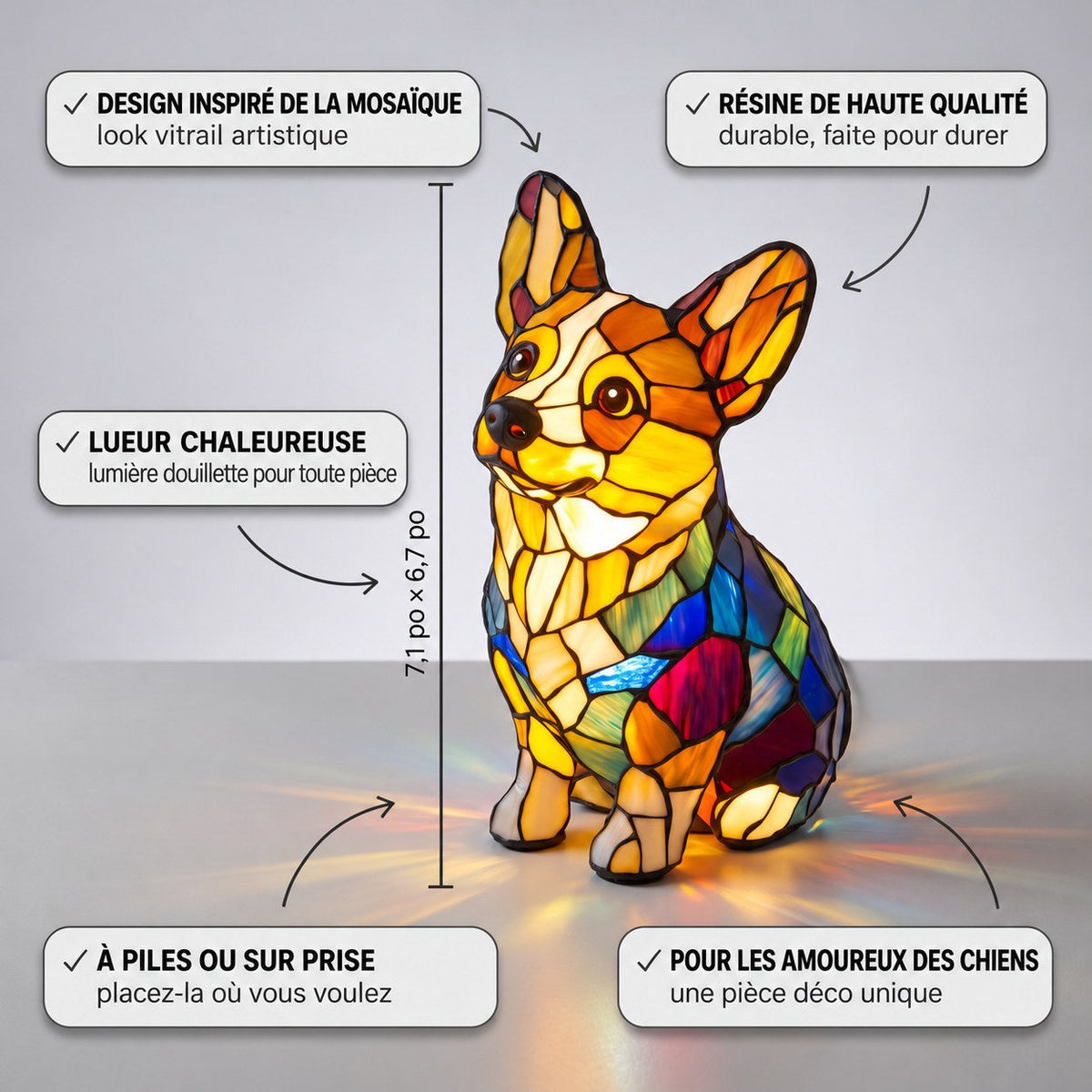 Corgi Radieux – image 3