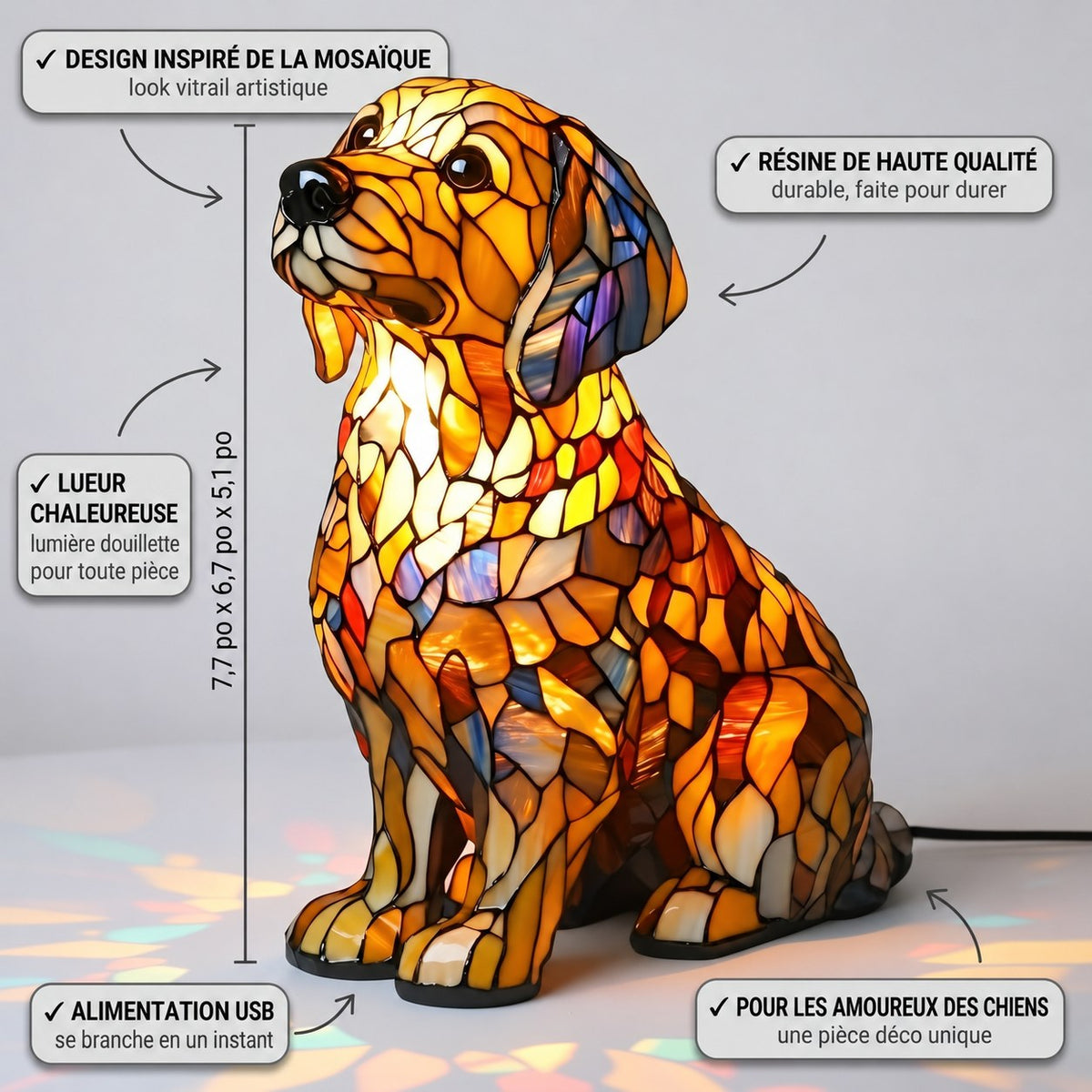 Buddy, le Golden Retriever radieux et spirituel – image 3