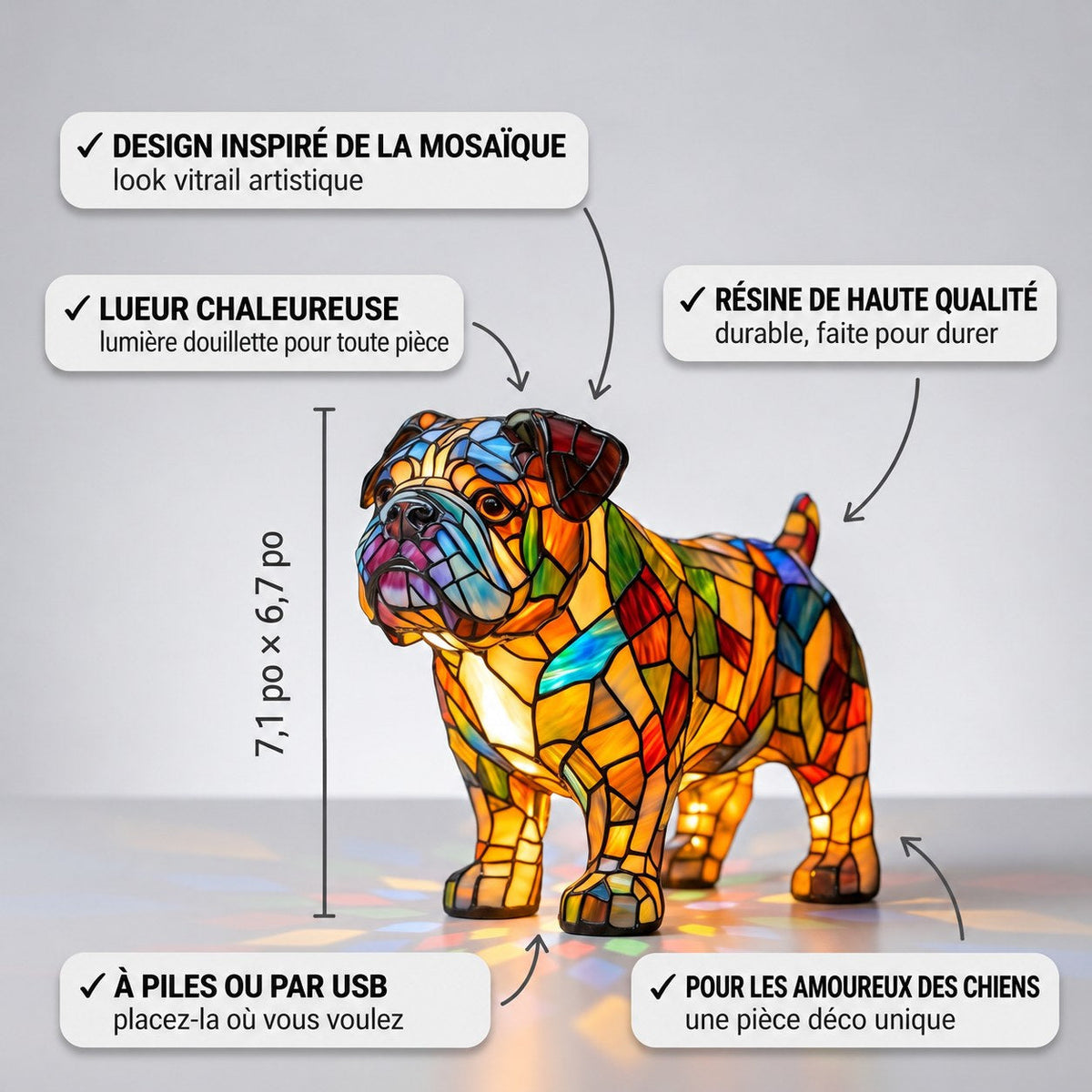 Bulldog en Marche – image 3