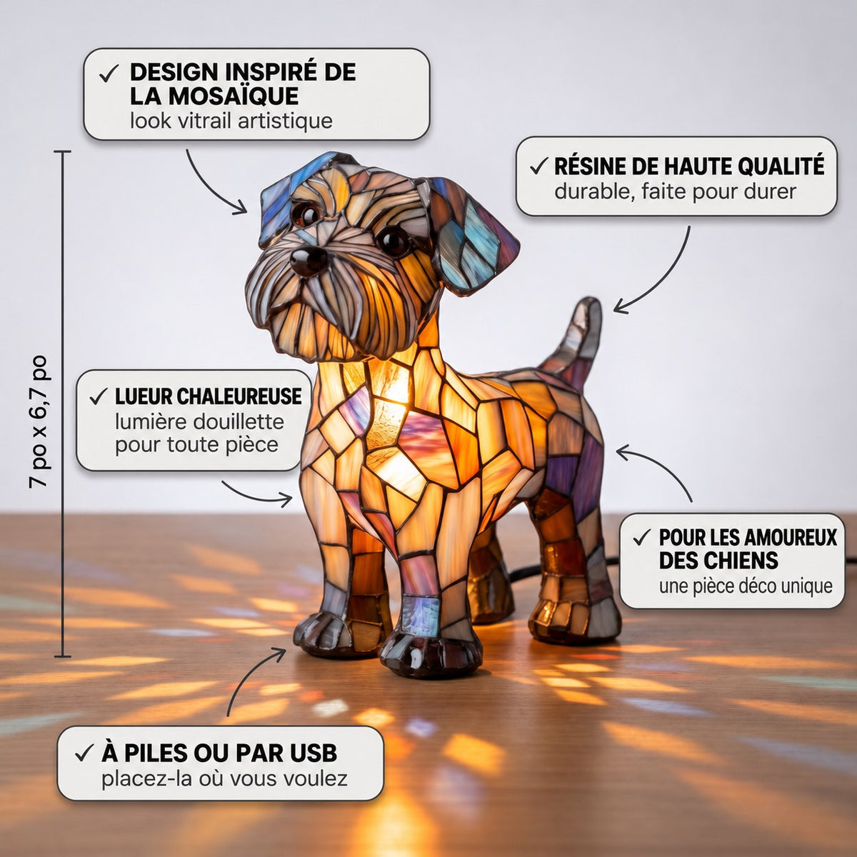 Terrier Fierté – image 3