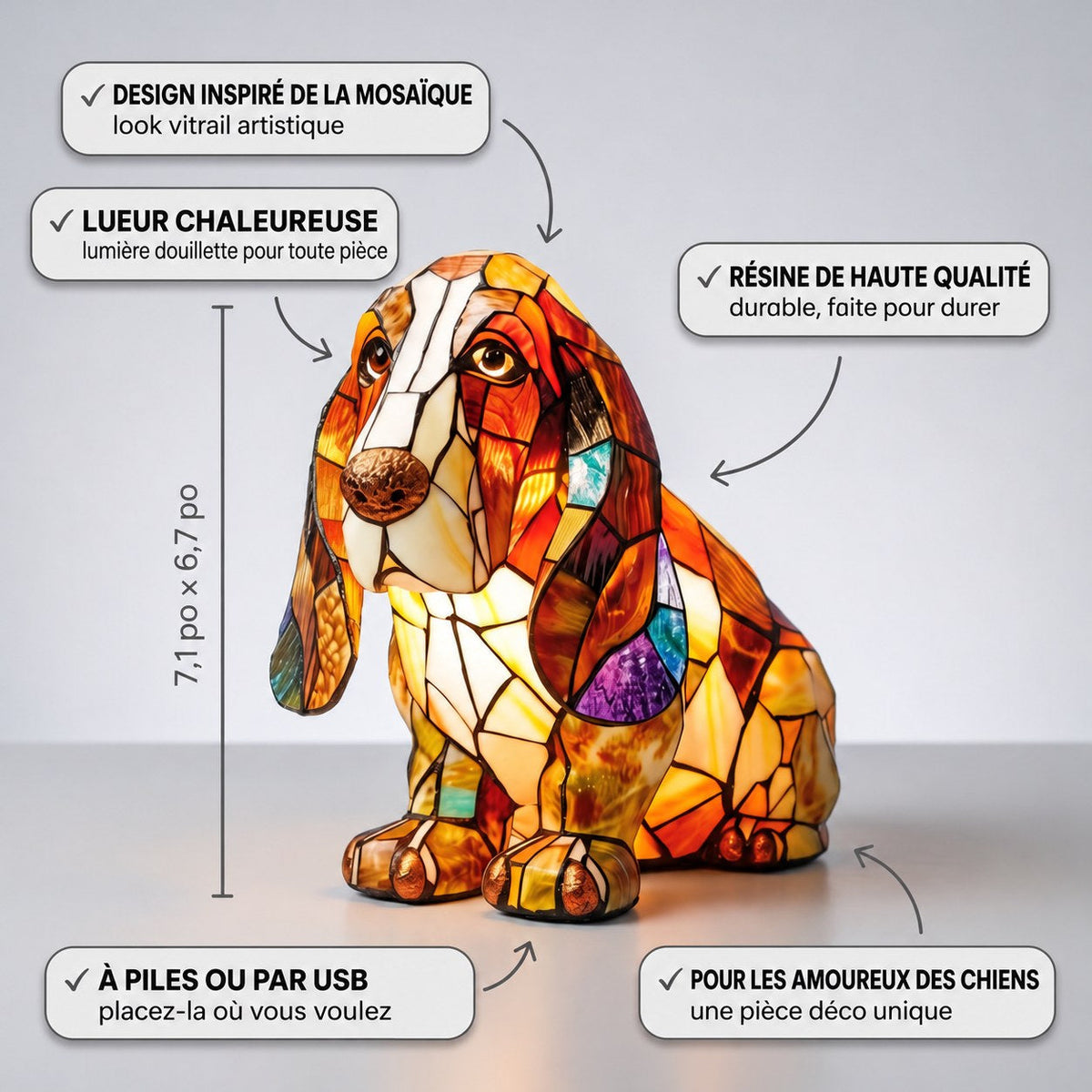 Sérénité canine – image 3