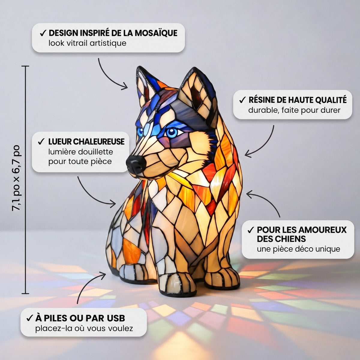 Husky polaire – image 3