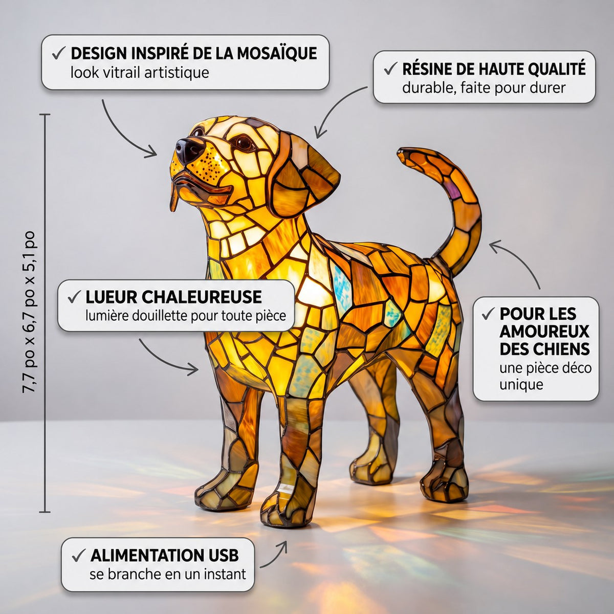 Rex Enchanté – image 3
