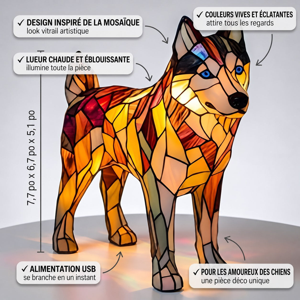 Nala, chien enchanté – image 3