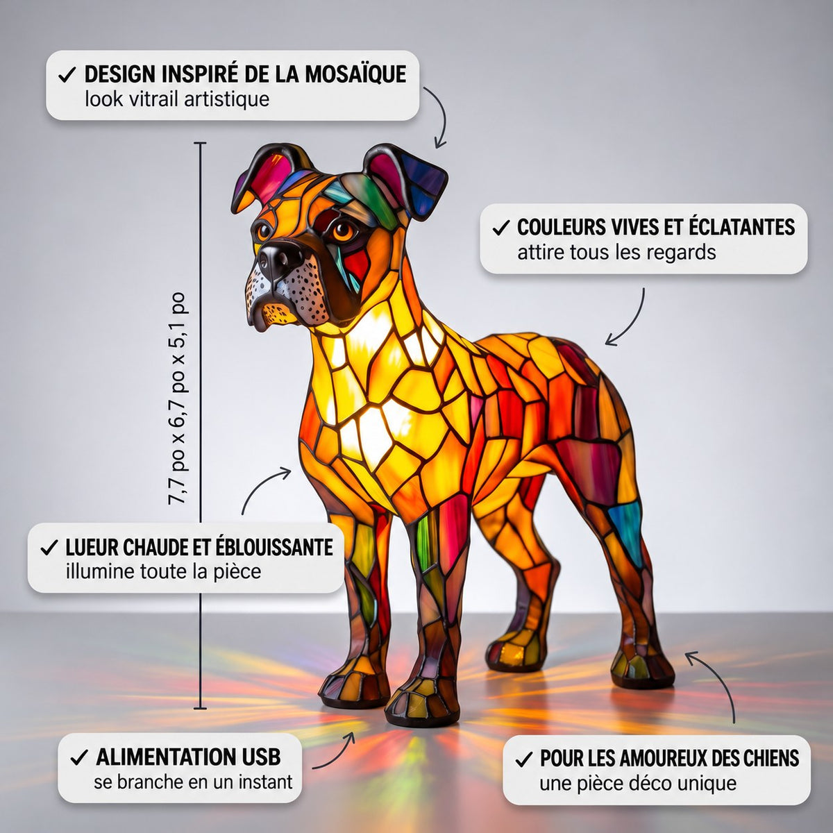 Éclair, canin magique – image 3