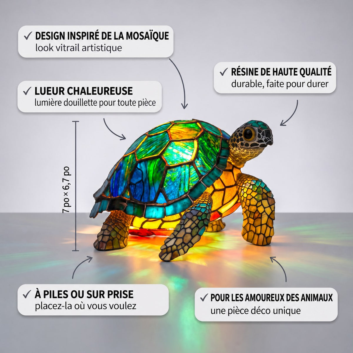 L'essence de la tortue de Molokai – image 3