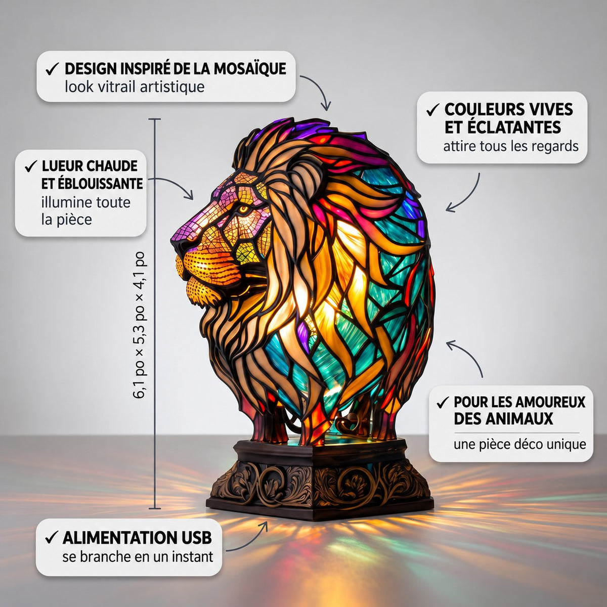 Mufasa, le lion enchanté – image 2