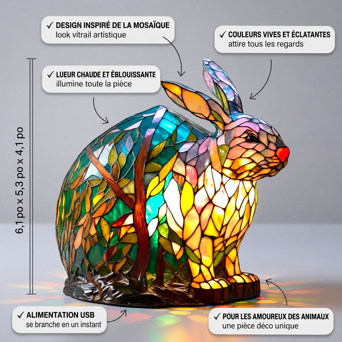 Noppie, le lapin éclatant – image 3