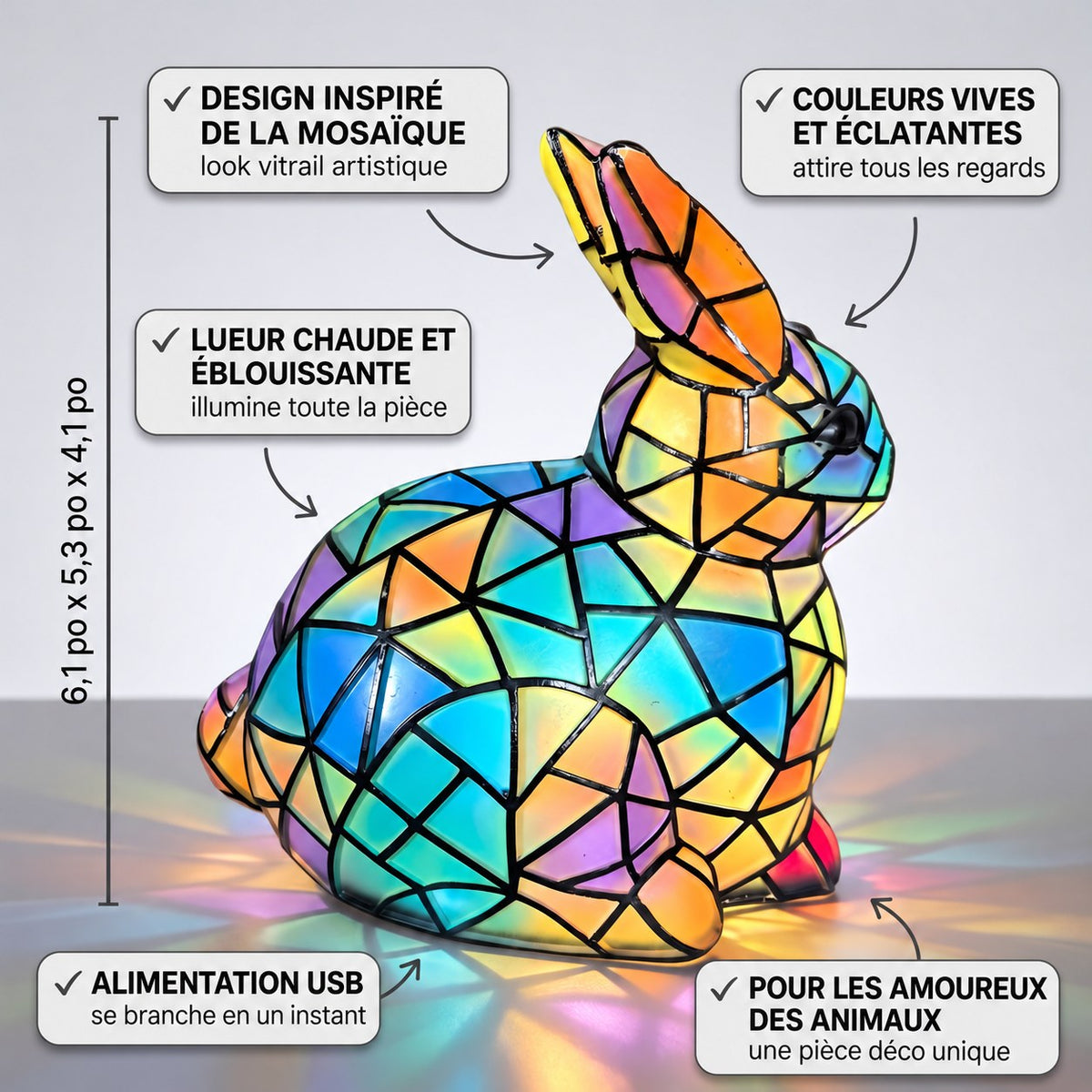 Tibbe, le lapin éclatant – image 2