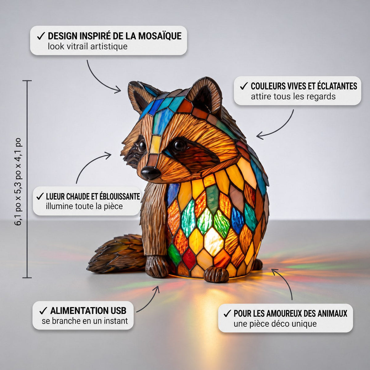 Jackie le Raton laveur enchanté – image 2